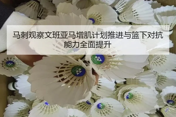 马刺观察文班亚马增肌计划推进与篮下对抗能力全面提升